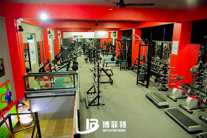 粉色视频APP高清免费下载大全案例 毛里求斯客户的健身房图片