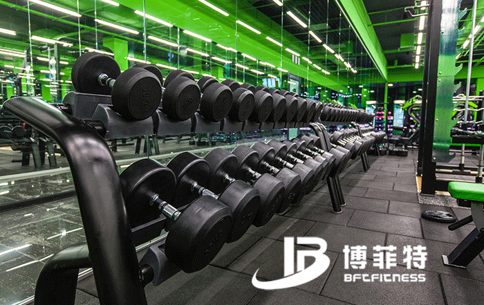 粉色视频APP高清免费下载大全健身器材案例 乌克兰客户的健身房图片