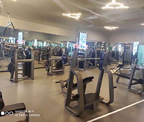 粉色视频APP高清免费下载大全健身器材东莞客户健身房案例
