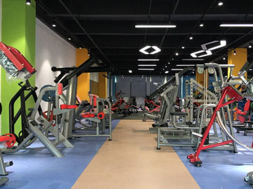 粉色视频APP高清免费下载大全健身器材公司展厅实拍图片7