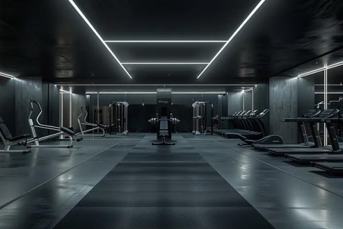 健身器材出口型粉色视频APP污下载：引领全球健康风尚的制造力量
